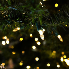 50 Warm LED Light Strand