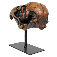 7.5" Last Flight Bird Skull On Stand