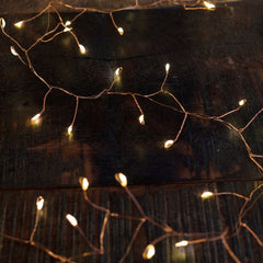 141" Copper String Lights