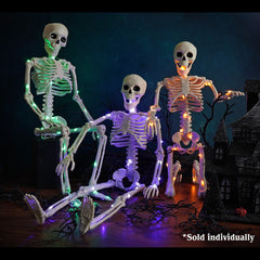 24" Purple LED Lighted Halloween Hanging & Jointed Skeleton