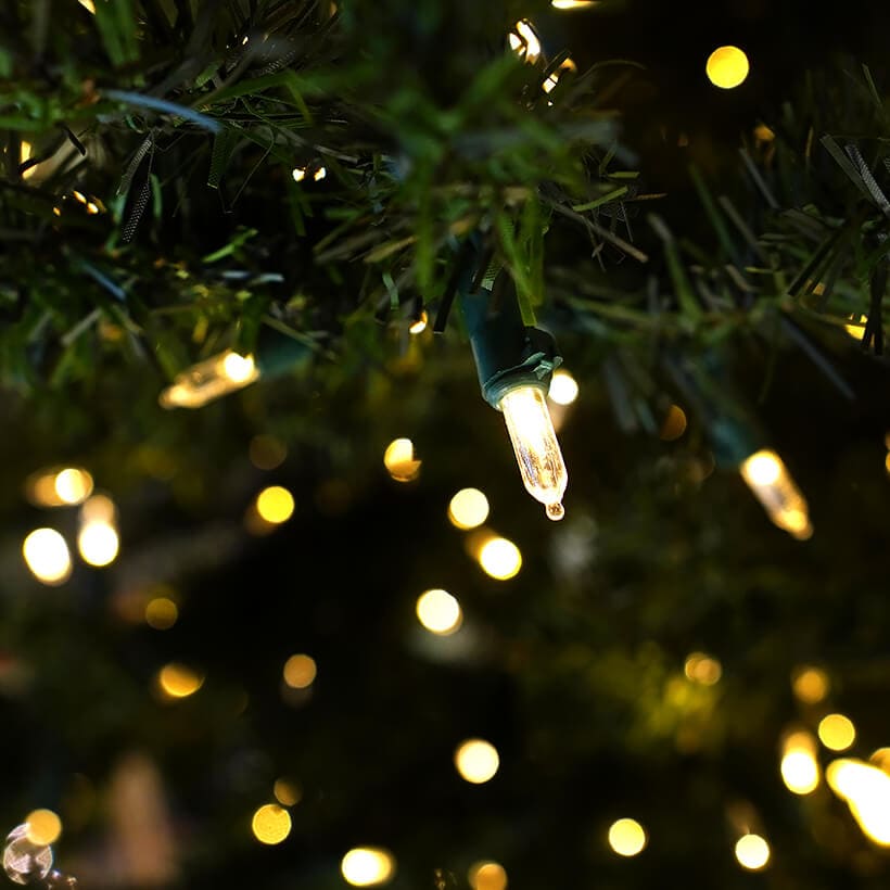 50 Warm LED Light Strand